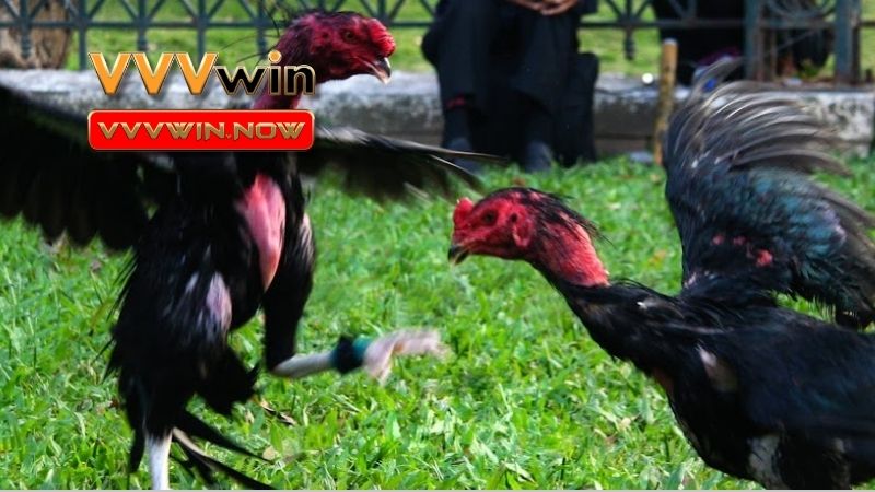 Một phần của văn hóa dân gian