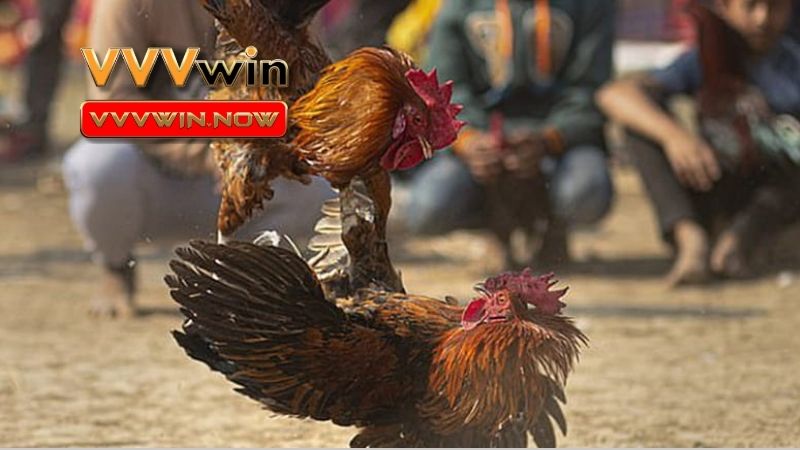 Điểm đến hấp dẫn dành cho người chơi