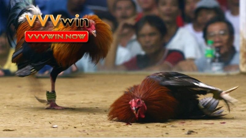 Những tác động đáng lưu ý